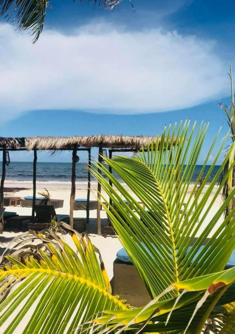 Hotel Agua Eco Design 4*