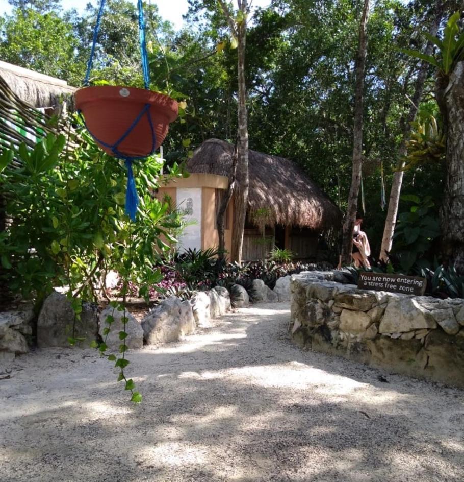 Bed and breakfast Casa Tzalam Selva 3*