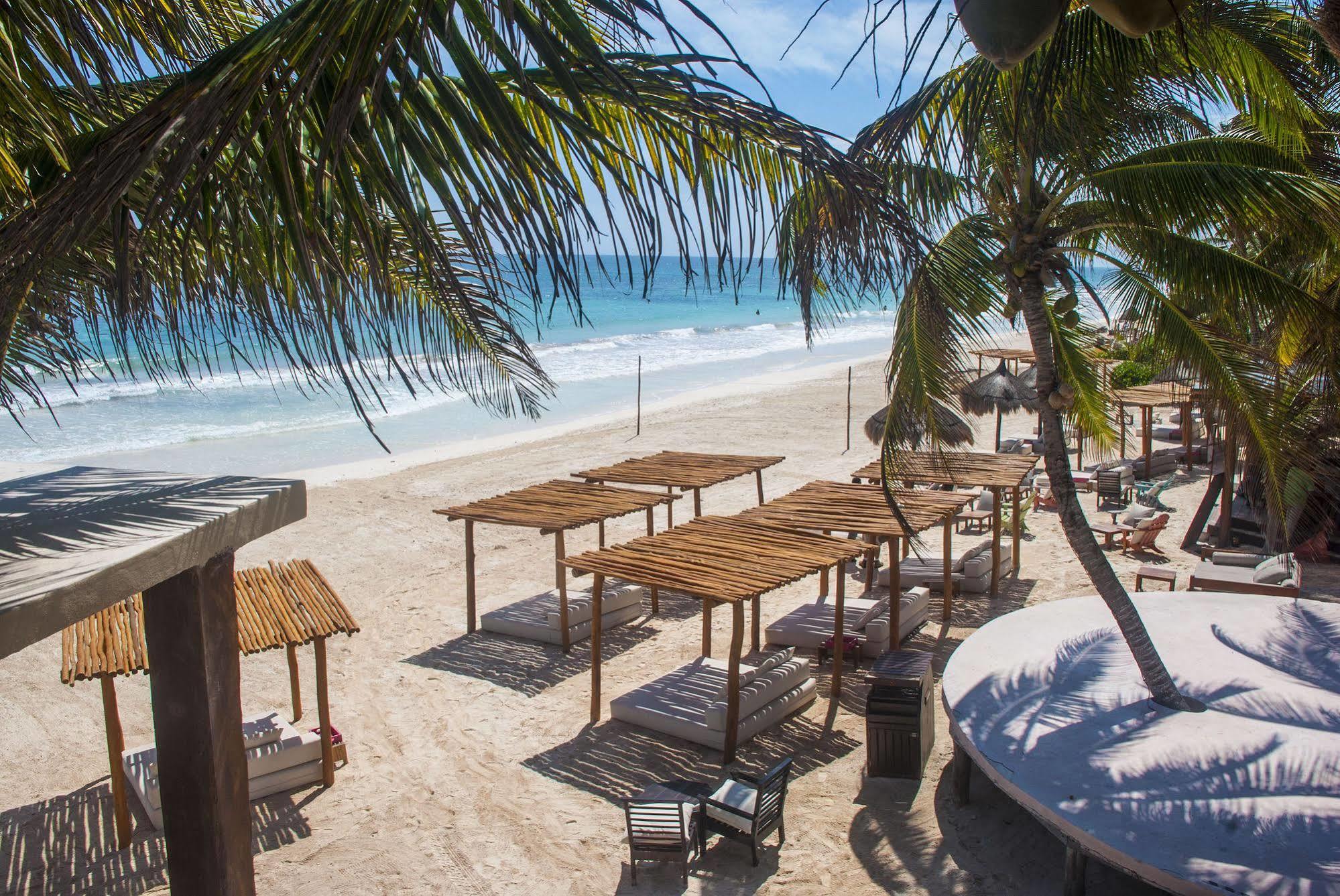 La Zebra Tulum, A Small Luxury 5*
