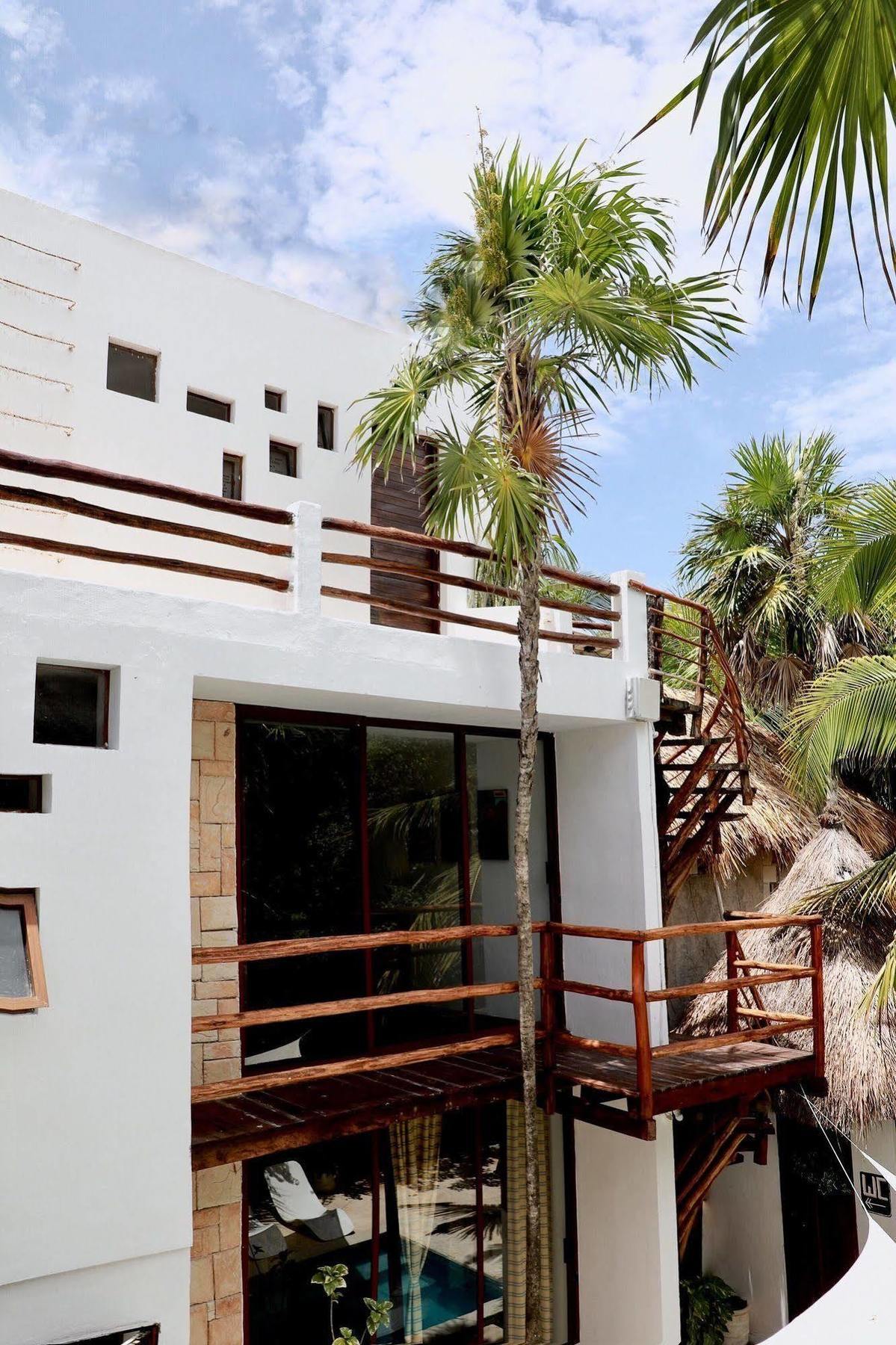 Residencia Gorila 2*