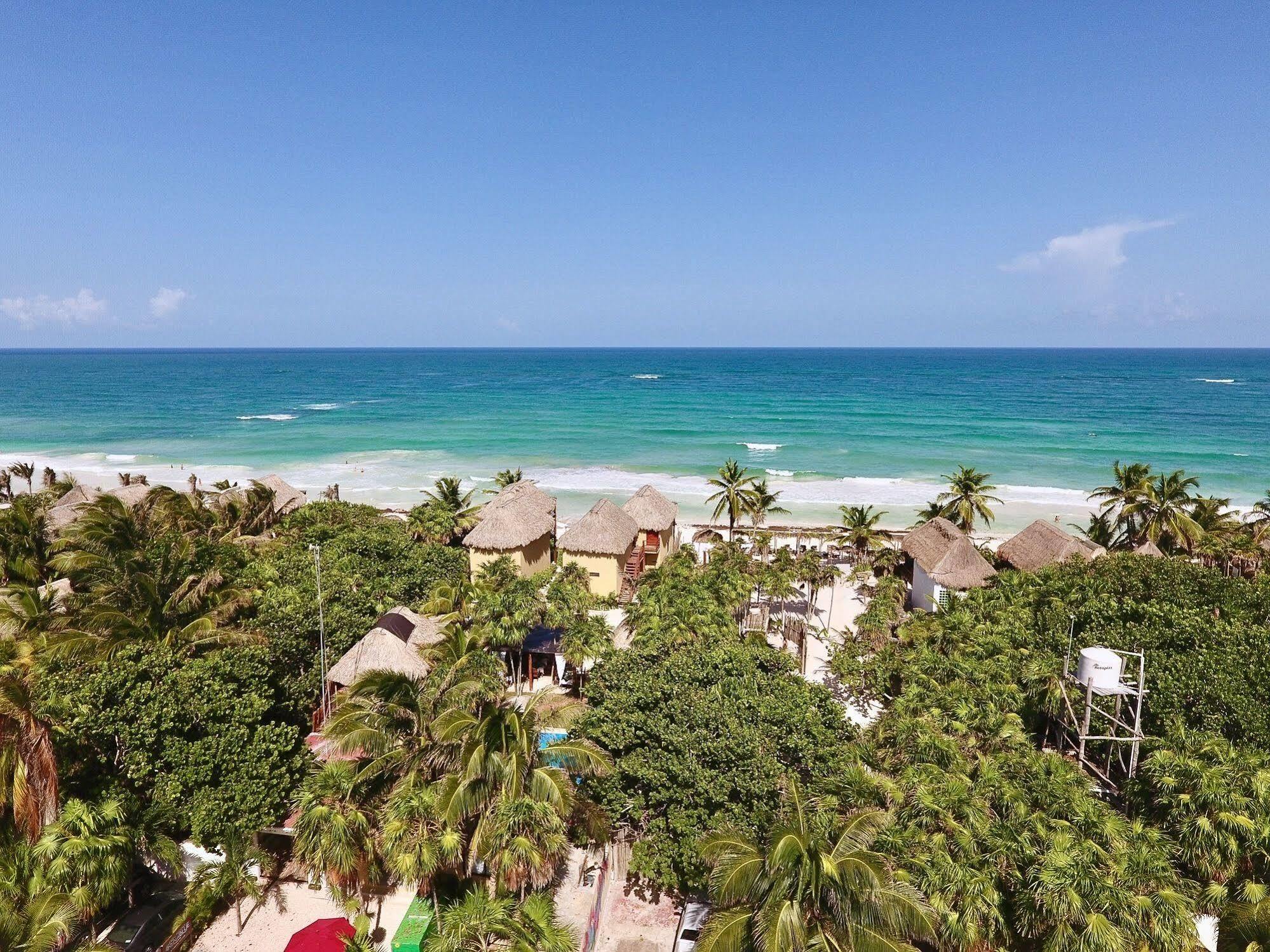 Residencia Gorila Tulum
