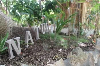 Lodge Maya *