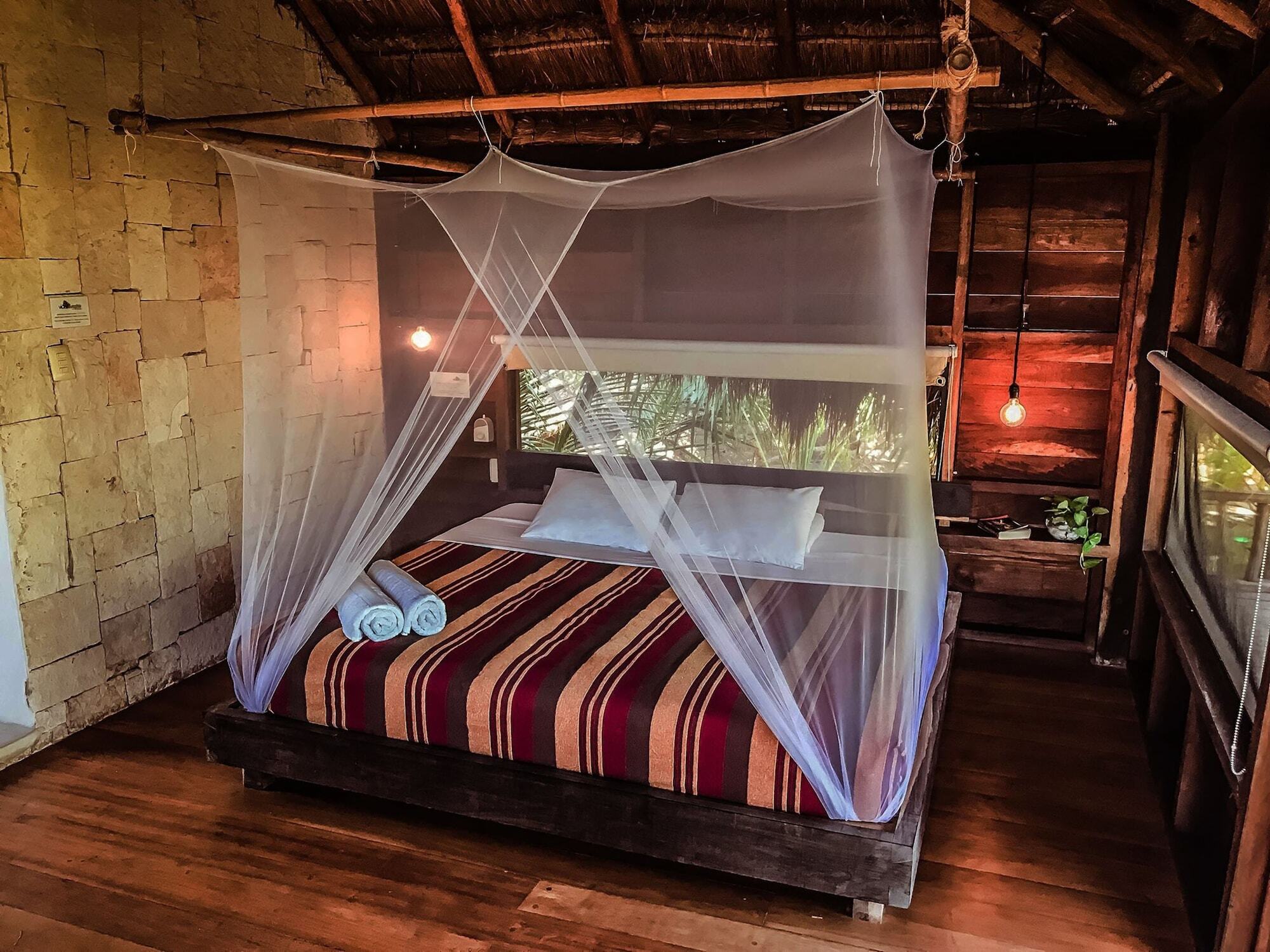 Lodge Vida Silvestre *