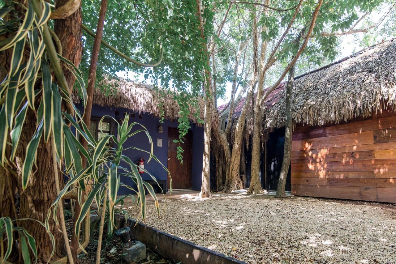Hostel El Punto Hostal *