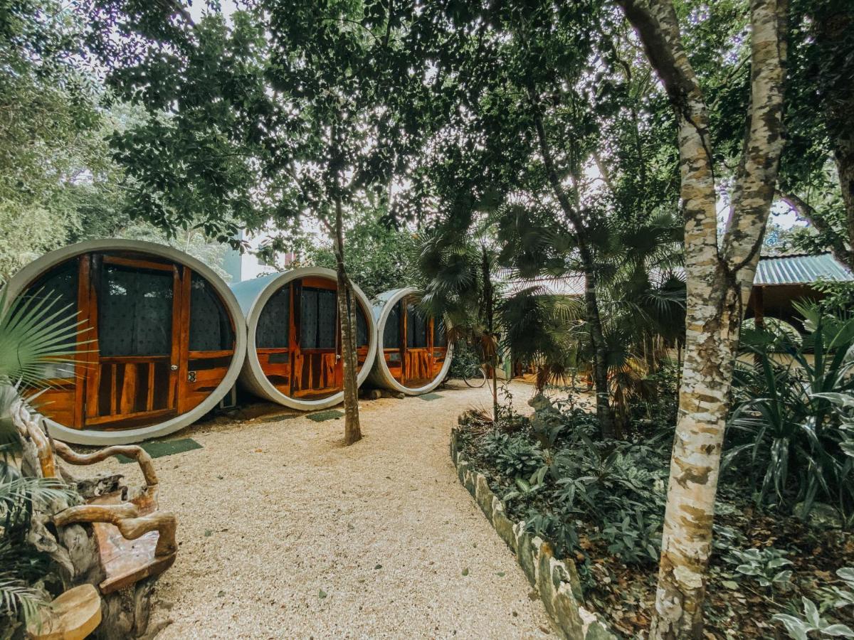 Hostal Tubo