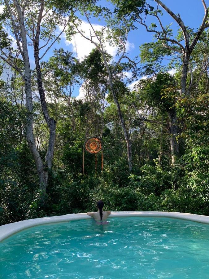 Bed and breakfast Casa Tzalam Selva