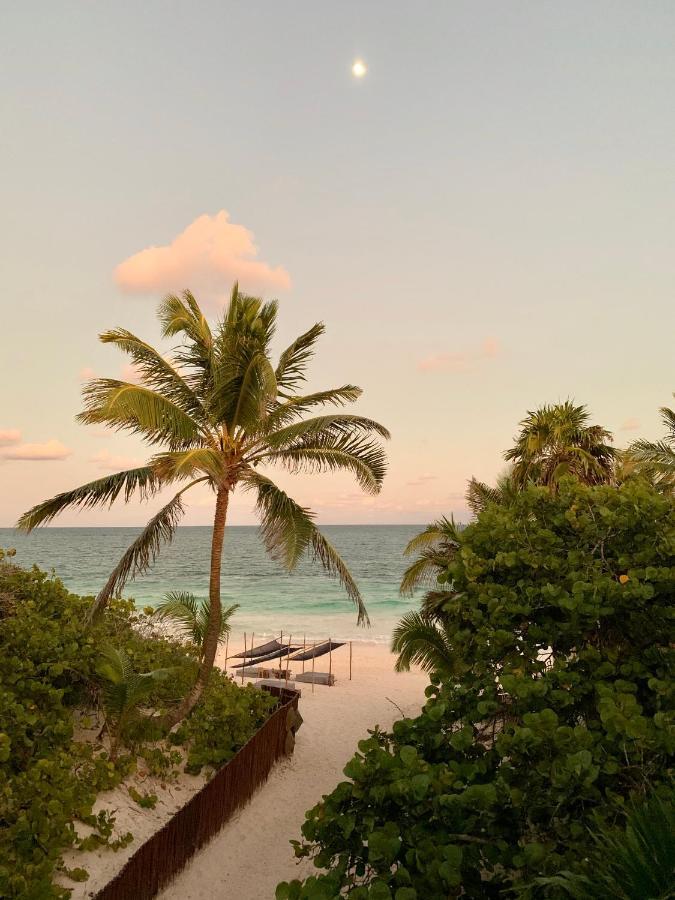 Libelula Beachfront 4*